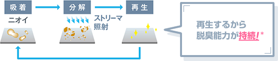 ストリ―マ解説