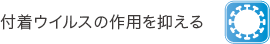 付着ウイルスの作用を抑える