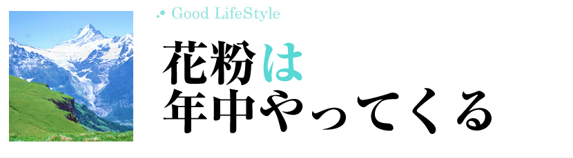 一年中色んな花粉が飛散しております