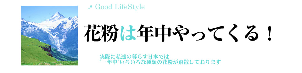 花粉は年中やってくる